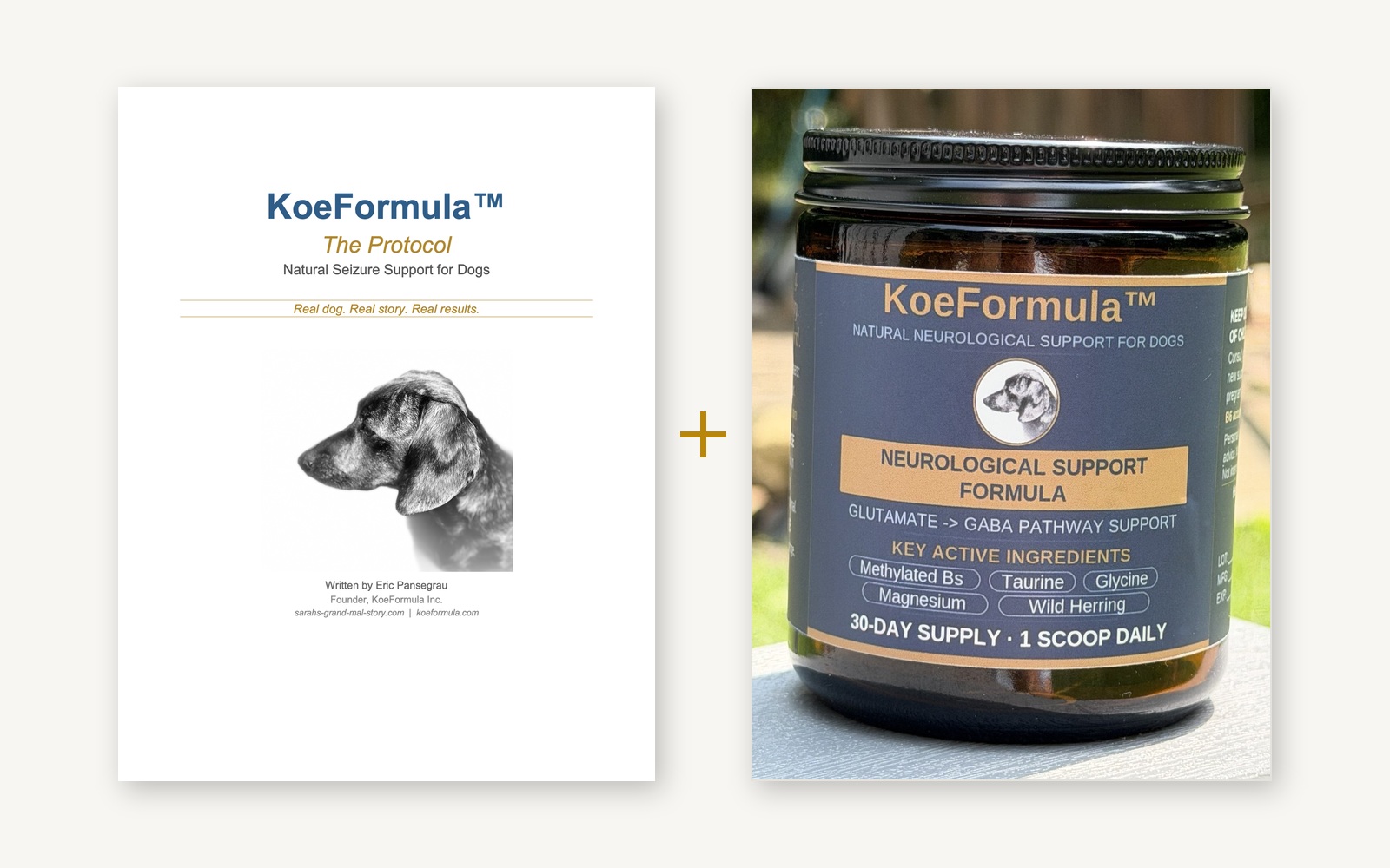 eBook and powder bundle